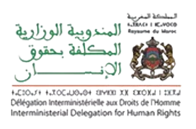 Délégation Interministérielle aux Droits de l'Homme — client INOVAT, agence web Rabat & Casablanca, Secteur public